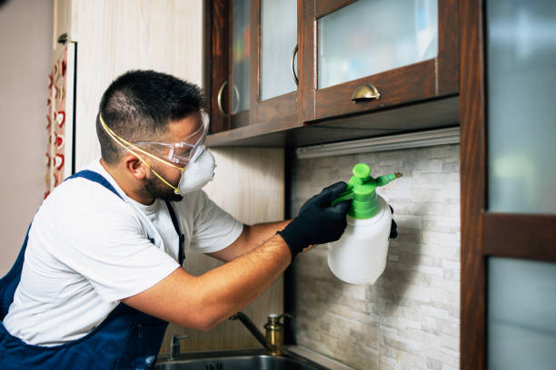 Best Insect Control  in Marine City, MI