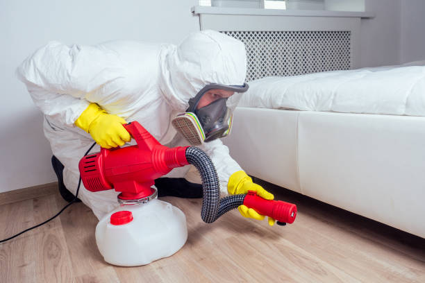 Best Rat Extermination Near Me  in Marine City, MI