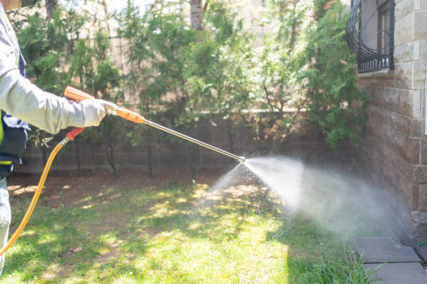 Best Bird Control  in Marine City, MI