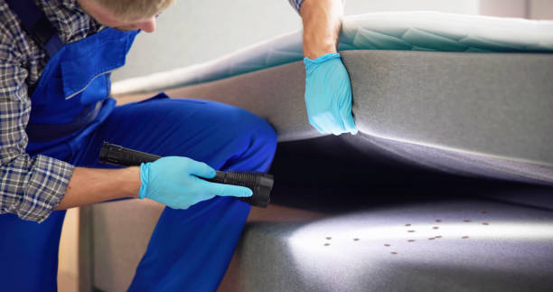 Best Ant Control Services  in Marine City, MI