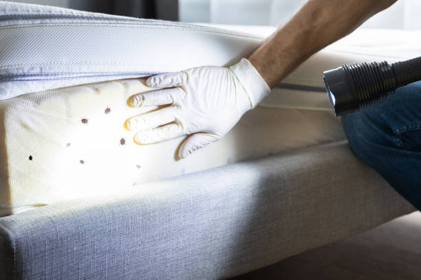 Best Pest Control Treatment  in Marine City, MI