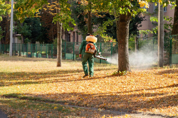 Professional Pest Control in Marine City, MI