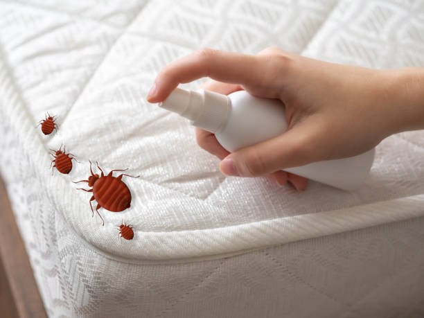 Best Pest Removal Services  in Marine City, MI