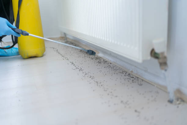 Best Mosquito Control Services  in Marine City, MI